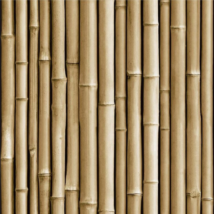 BAMBOO